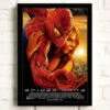 Tableau Spiderman 2